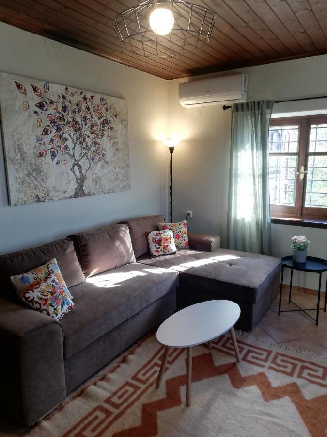 Endless View Country House Makrinitsa Ngoại thất bức ảnh